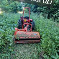 TRINCIATURA FRESATURA MOVIMENTO TERRA RECINZIONI