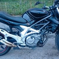 Suzuki SFV Gladius 650 - 2010