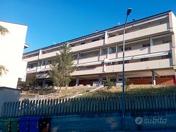 Appartamento zona universita'