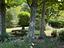 Immagine 20
