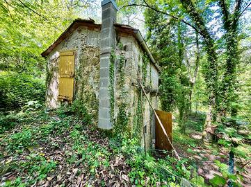 TER. AGRICOLO A PESCIA