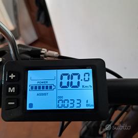 bici elettrica 