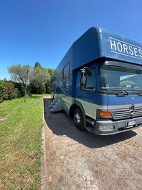 Van trasporto cavalli Mercedes ateco