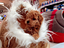Immagine 12