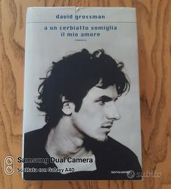 libro di David Grossman 