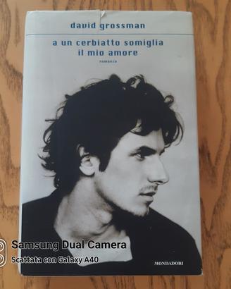 libro di David Grossman 