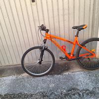bicicletta ammortizzata 
