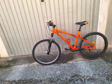 bicicletta ammortizzata 