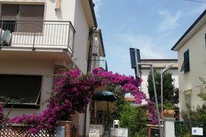 Trilocale centro cecina mare