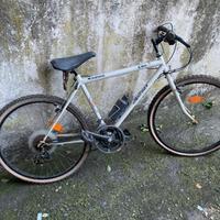 Bicicletta Mountan Bike