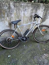 Bicicletta Mountan Bike