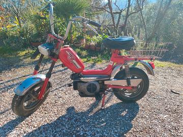 Gabbiano 50cc