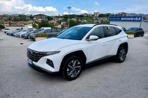 Hyundai Tucson 1.6 CRDI XLINE 2023 116CV