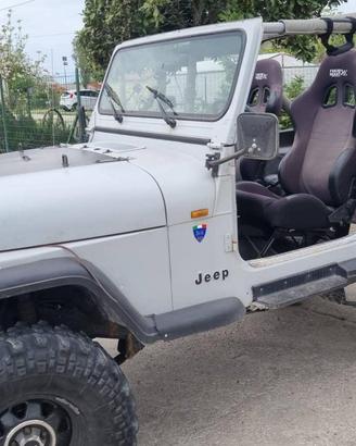 Per veri amatori-Jeep Wrangler  2500  /gpl- 1989