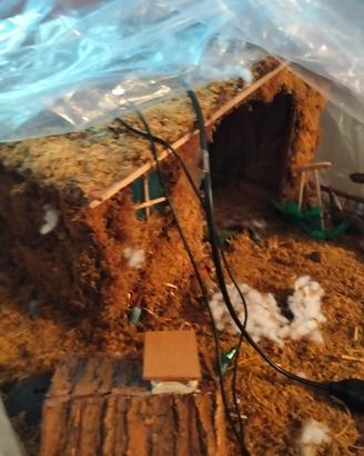 presepio
