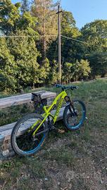Orbea Rallon