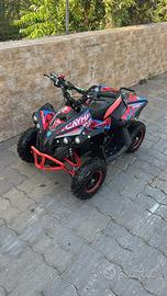Quad elettrico 1000 watt 2025