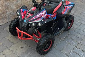 Quad elettrico 1000 watt 2025