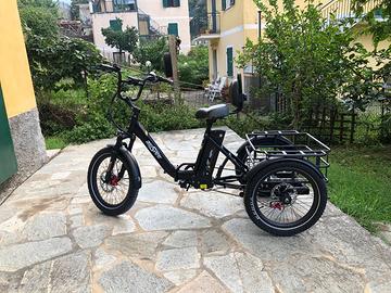 Triciclo Onesport OT30 Pro E-Trike