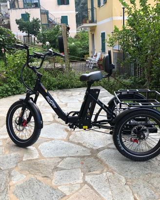 Triciclo Onesport OT30 Pro E-Trike