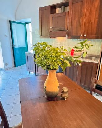Appartamento con 600 metri di terreno