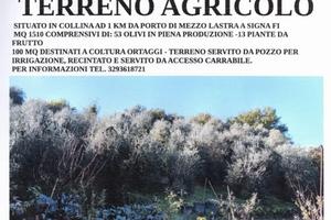 Terreno orto con pozzo olivi frutti recintato