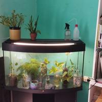 Acquario 180L | JUWEL Vision 180 Led + accessori