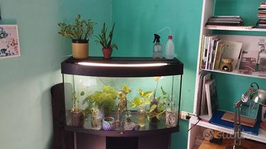 Acquario 180L | JUWEL Vision 180 Led + accessori
