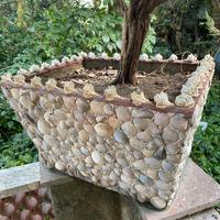 Vasi artigianali rivestiti di conchiglie naturali