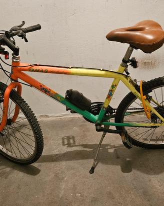 bicicletta Uomo/Ragazzo Mountainbike