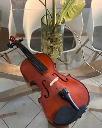 Violino +custodia