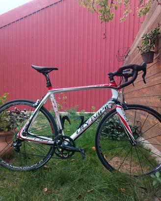 Bici da corsa Olympia Ego Race