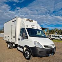 Iveco daily 35 c 12 frigo con gruppo thermo king