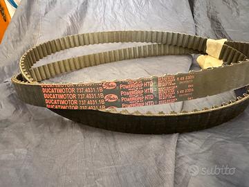 Cinghie ducati hyper 950 multistrada 950/v2