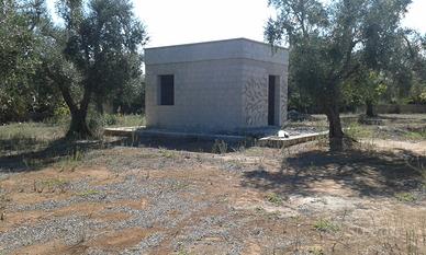 Terreno con rustico vicino al mare 