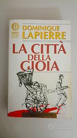 la città della gioia 