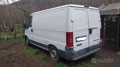 fiat ducato 2.0 jtd