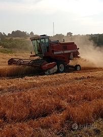 Mietitrebbia laverda 3350 al