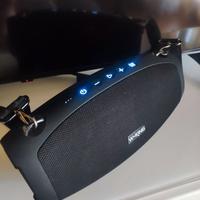Cassa bluetooth wking x10