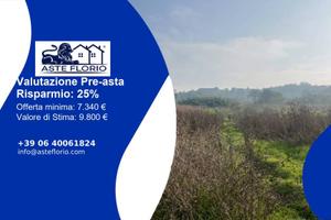 Immobile in asta di 9326 m² a Maranzana