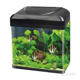 acquario billy16 blu bios