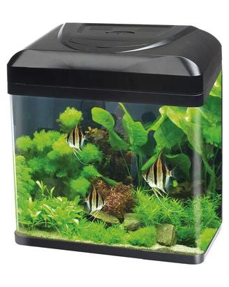 acquario billy16 blu bios