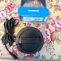 Pick up acustico Fishman Neo-Buster