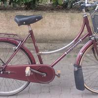 Bici da donna 26