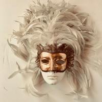 maschere carnevale Venezia collezione