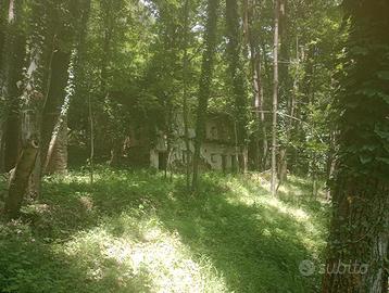 Rudere con portico e terreno boschivo