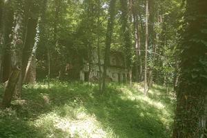 Rudere con portico e terreno boschivo