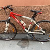 Mountain bike Specialized ammortizzata