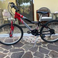 Bicicletta Nuzzi Rock Rabbit Two