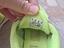 Immagine 3